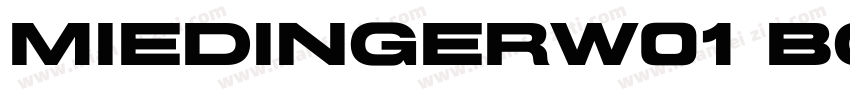 MiedingerW01 Bold字体转换